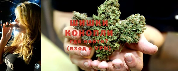 ПСИЛОЦИБИНОВЫЕ ГРИБЫ Сафоново