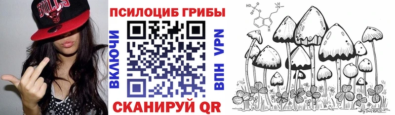 Псилоцибиновые грибы ЛСД  Агидель 